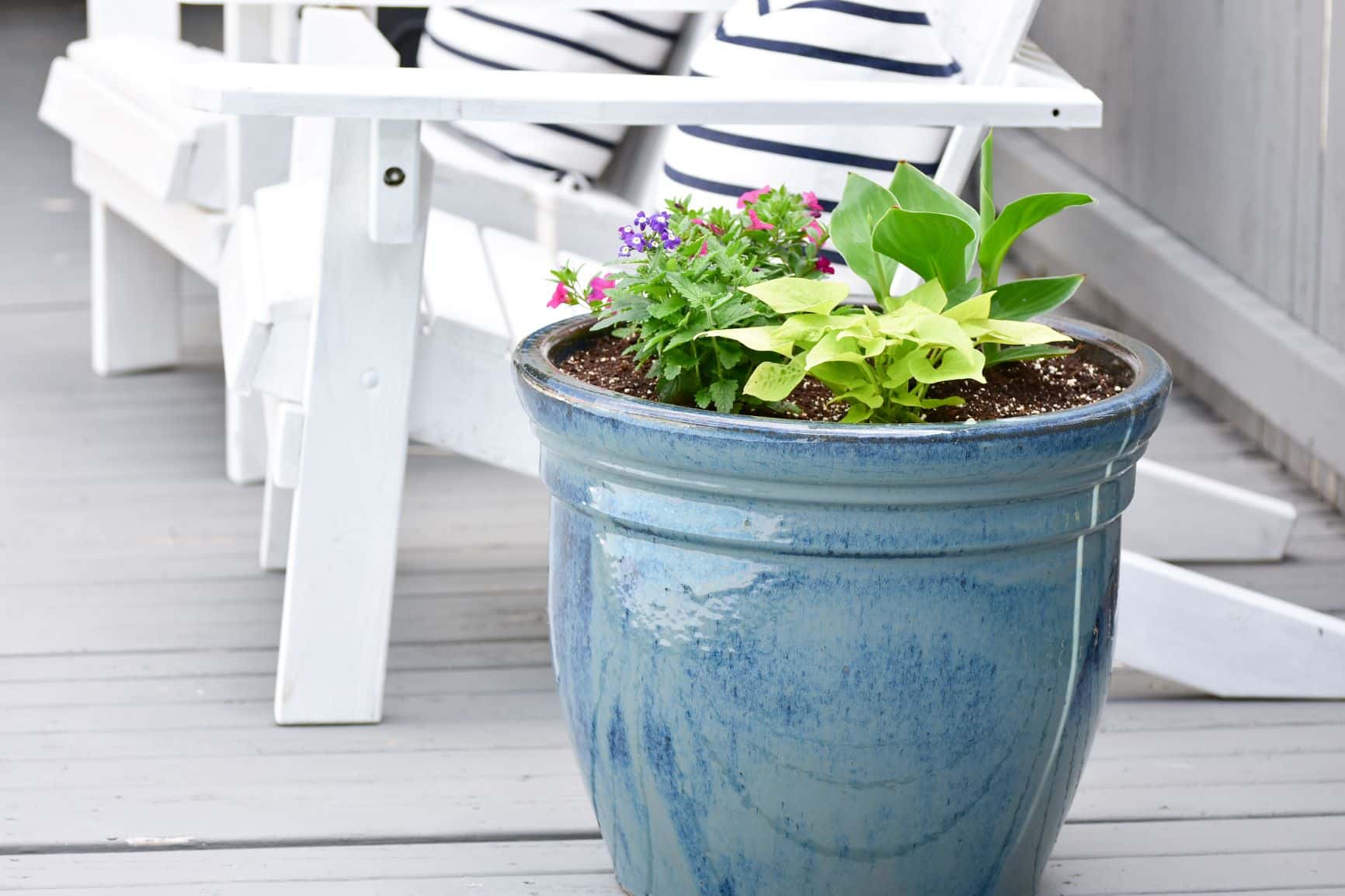 A Guide to Beautiful Summer Containers