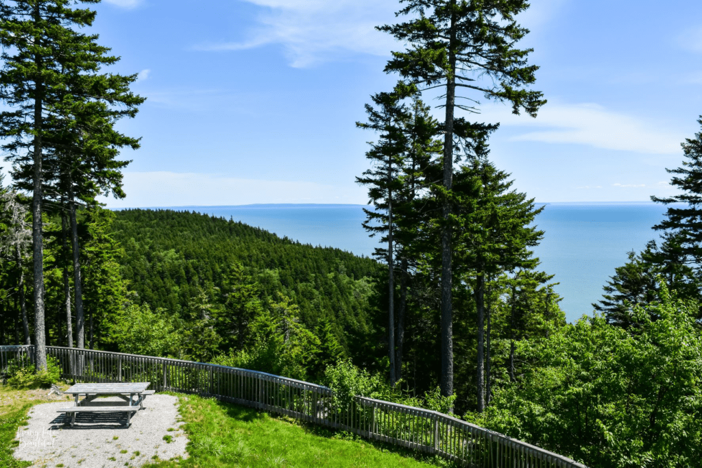 st martins fundy trail
