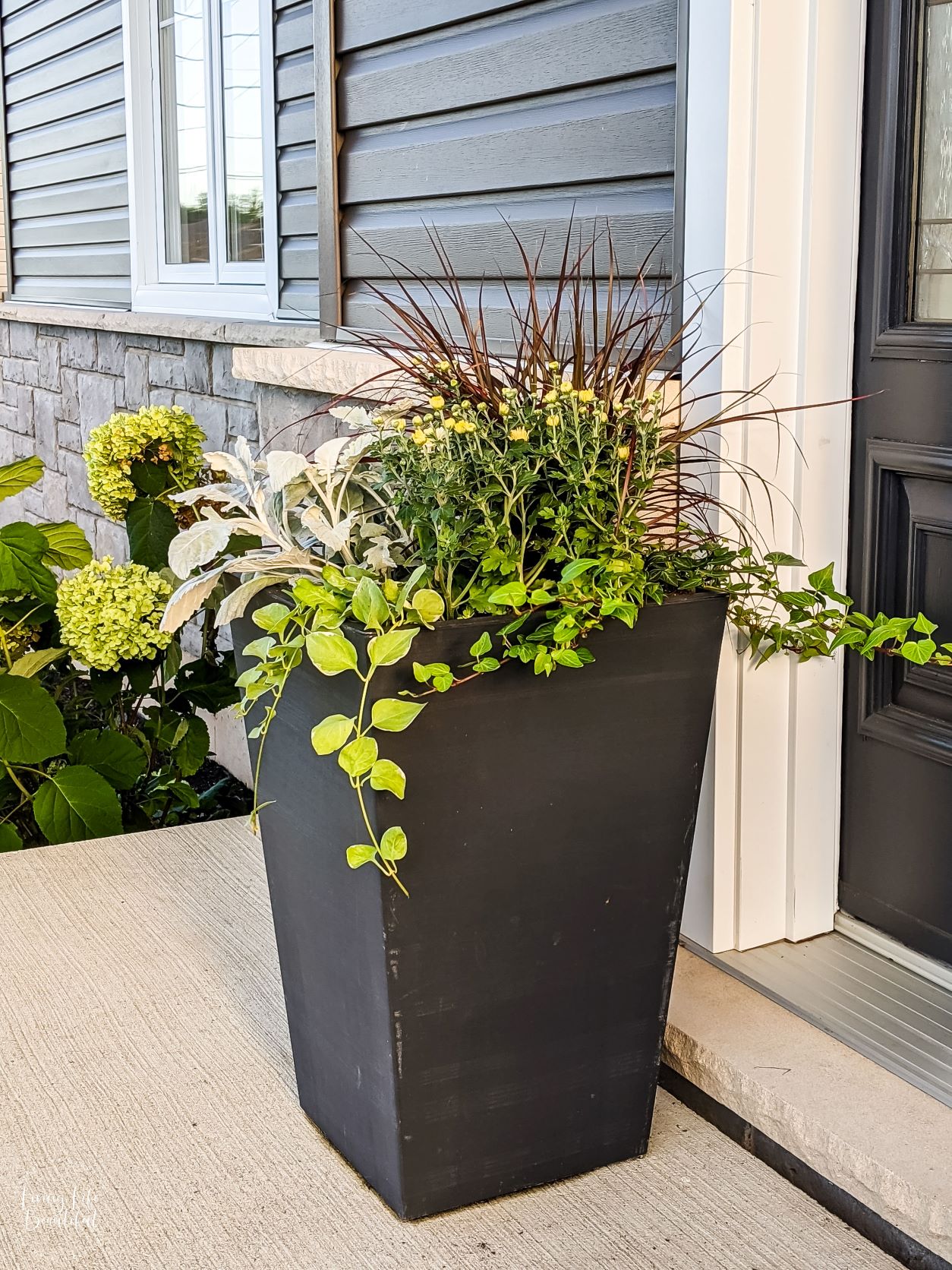 best plants for fall planters
