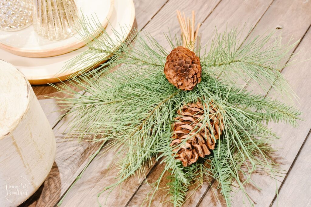 4 Types of Christmas Greenery to Get You Started - Living Life