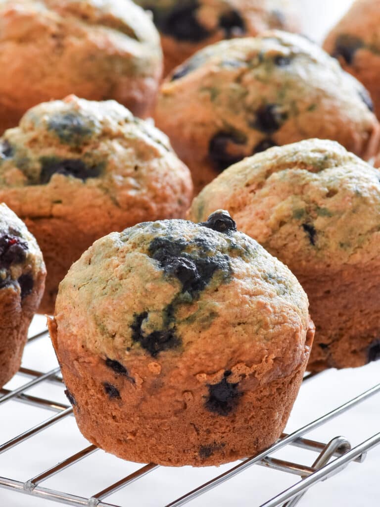 healthy blueberry muffin