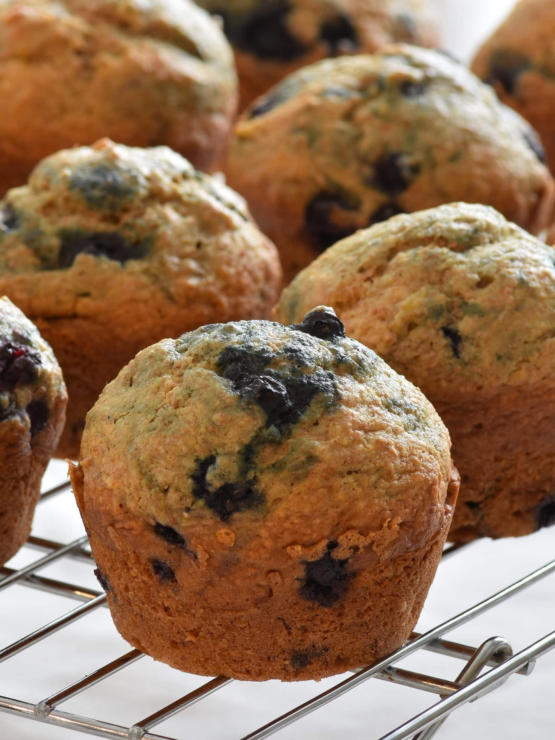 Easy and Delicious Low Fat Blueberry Muffin Recipe