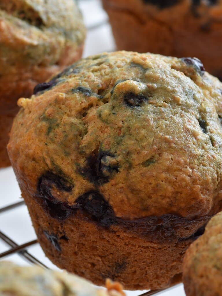 low fat blueberry muffin recipe