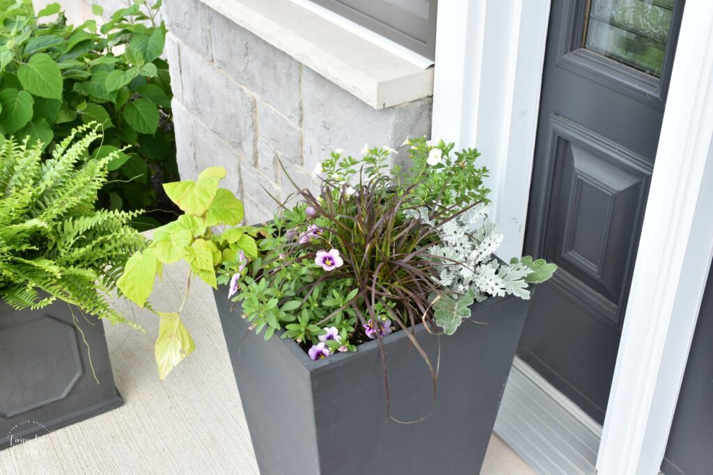 simple summer front porch decor