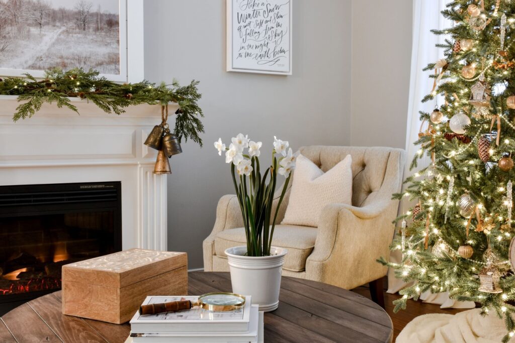 holiday home tour christmas 