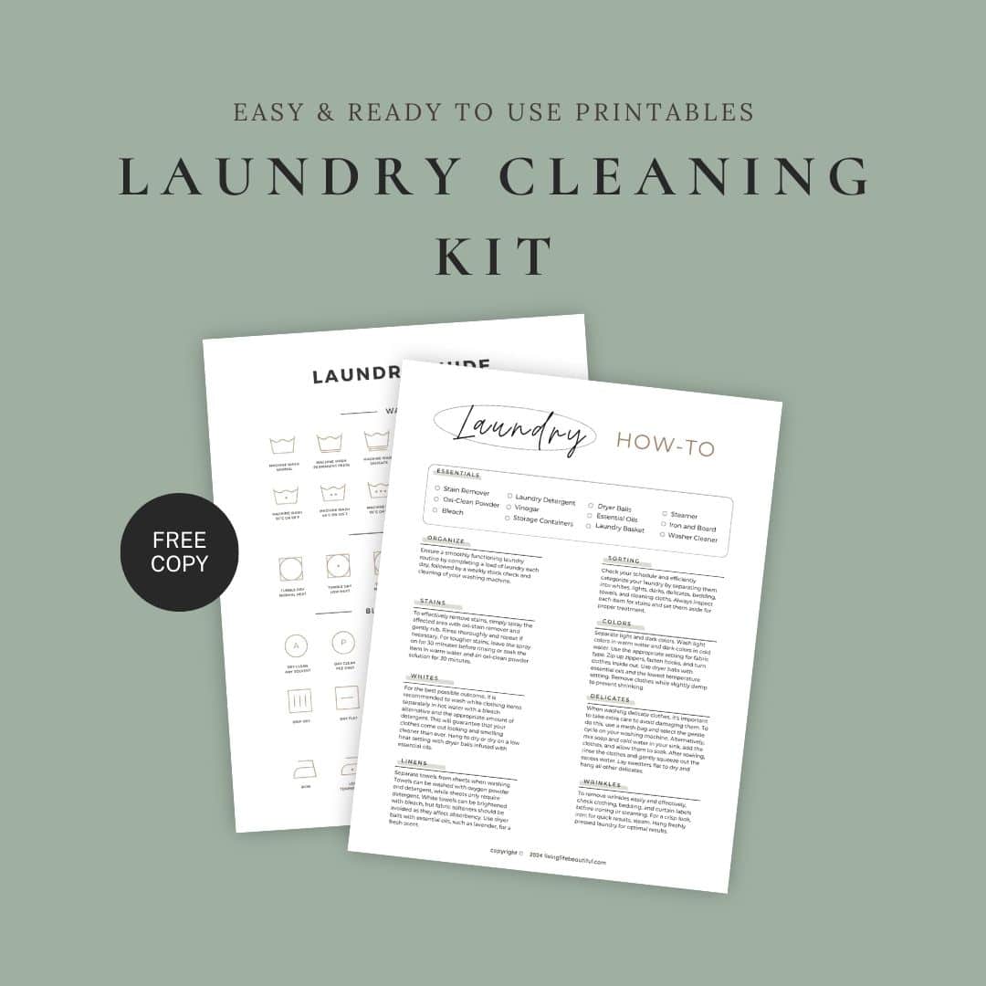 laundry cleaning kit