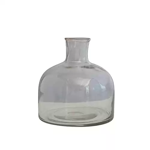 Creative Co-Op Blown Glass, Clear Vase