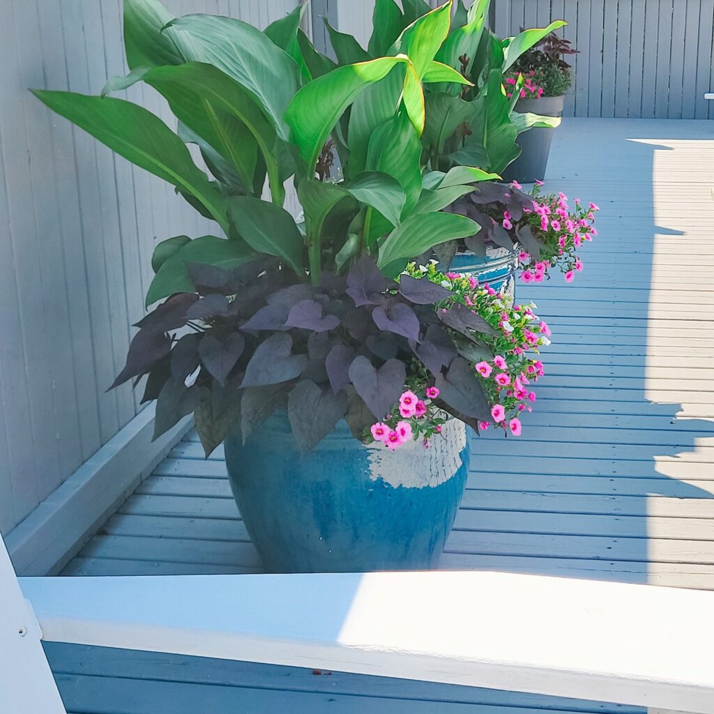 container garden design ideas