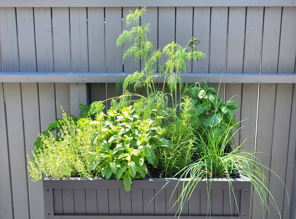 ideas for garden containers