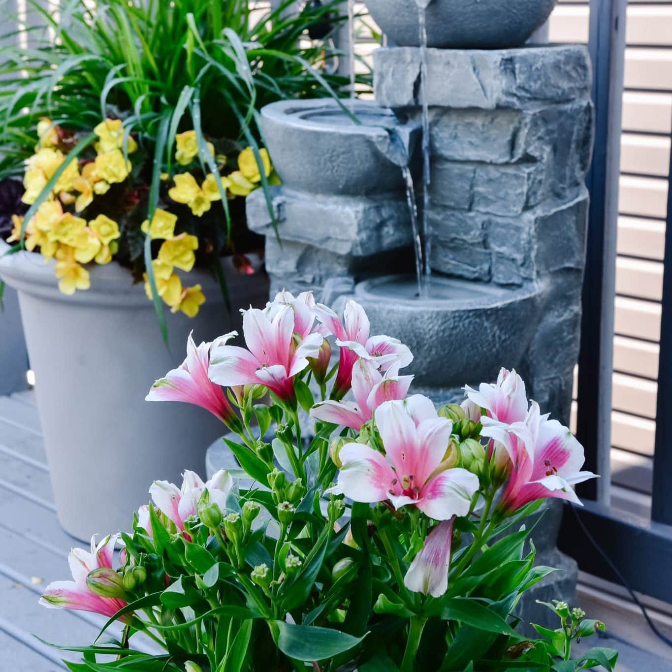 outdoor container garden ideas