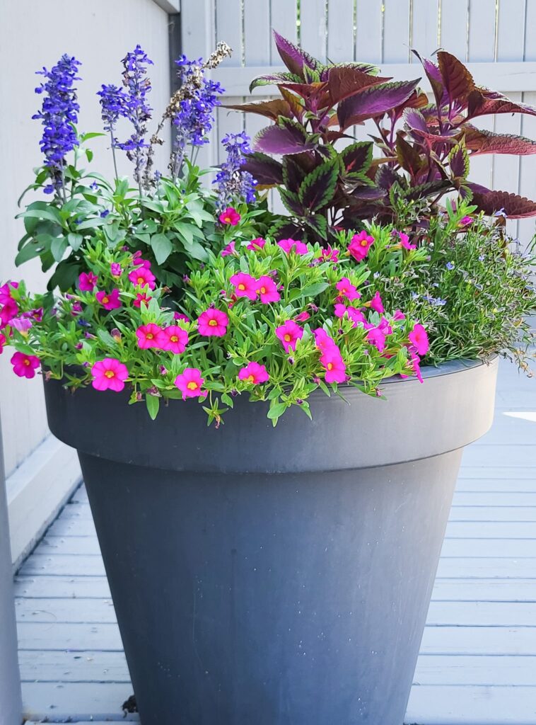 patio landscaping using containers