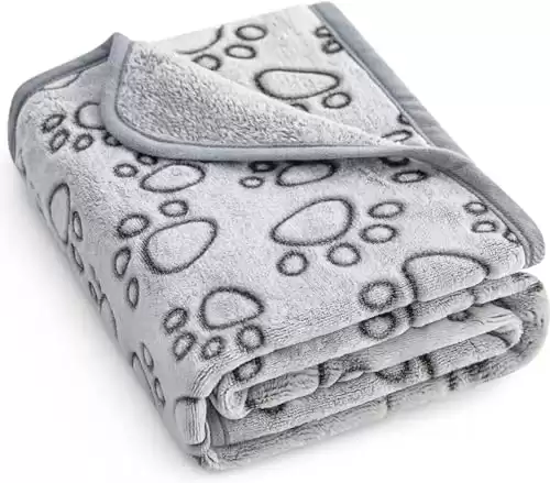 Stuffed Premium Soft Dog Blanket Washable, 40"x32" Cat Blanket for Indoor Cats Large Medium Small Dog Gifts (Grey)