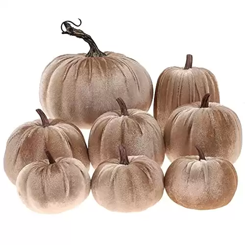 Gresorth 8pcs Assorted Size Fake Handmade Champagne Velvet Pumpkins Artificial Fall Harvest Halloween Decoration for Home Kitchen Farmhouse Thanksgiving Wedding Festival