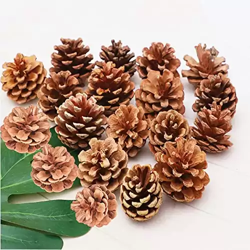 QHZHANG Christmas Bulk Package of Natural Pinecones for Home Party Decorations-25 Pack (1)