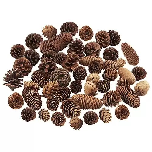 Jangostor 40 PCS Pine Cones Decorations, Natural Pine Cones Bulk Package - Large Medium and Mini Size Rustic Pine cone Ornaments for Table Christmas Tree Crafts Gifts Halloween Thanksgiving Home Decor