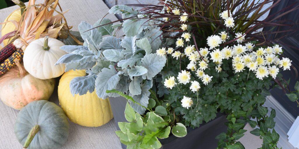 fall gardening ideas